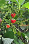 DSC_8622s.jpg
