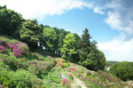 DSC_8993pano_s.jpg
