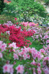 DSC_9018s.jpg