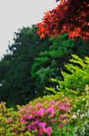 DSC_9021s.jpg
