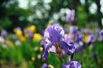 DSC_9242.jpg