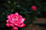 DSC_9261.jpg