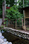 DSCF2027s.jpg
