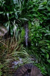 DSCF2062s.jpg