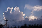 DSC_2917s.jpg
