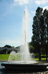 DSC_3036s.jpg
