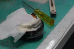 DSCF2836s.jpg
