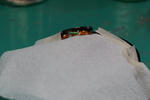 DSCF2838s.jpg