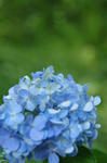 DSC_3147s.jpg
