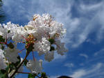 IMG_1330s.jpg