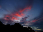 IMG_1338s.jpg