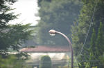 Normal_0750mm.jpg