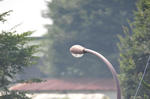 Extender7215_1050mm.jpg