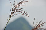 DSC_3323s.jpg