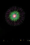 DSC_3682s.jpg