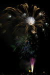 DSC_3889s.jpg