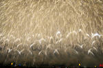 DSC_4026s.jpg