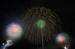 DSC_4205s.jpg