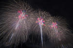 DSC_4208s.jpg