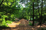 DSC_4287s.jpg