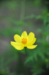 DSC_5246s.jpg