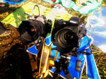 NEC_0002s.jpg