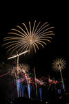 DSC_6217s.jpg