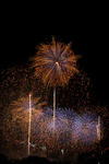 DSC_6274s.jpg