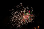 DSC_6536s.jpg