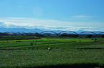 DSC_6562s.jpg