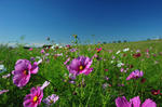 DSC_6574s.jpg