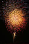 DSC_6883s.jpg