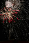 DSC_6910s.jpg