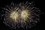 DSC_7277s.jpg