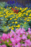 DSC_7639s.jpg