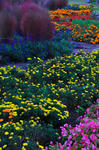 DSC_7725s.jpg