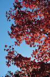DSC_8815s.jpg