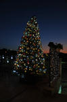 DSC_4105s.jpg