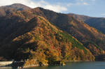 DSC_4486s.jpg