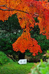 DSC_5156s.jpg