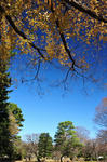 DSC_5189s.jpg