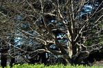 DSC_5220s.jpg