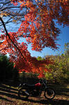 DSC_5266s.jpg