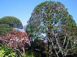 IMG_1520s.jpg