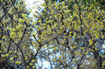 DSC_7685s.jpg