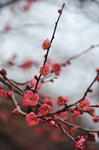 DSC_7719s.jpg