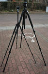 DSC_7771s.jpg