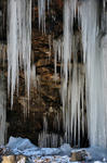 DSC_7950s.jpg