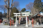 DSC_0267s.JPG