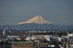 DSC_0269s.JPG